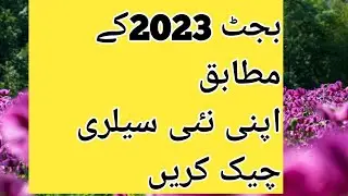 budget 2023 news || new salary chart budget 2023 || salary increasement chart budget 2023 || how to