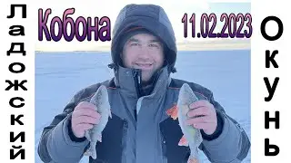 Ладожский Окунь, Кобона 11.02.23