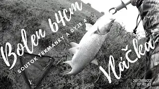 Bolen na vláčku 64cm Soutok Trkmanky a Dyje 4