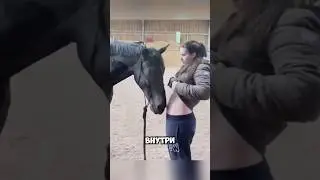 Лошадь предугадала беременность 🤰🐴 