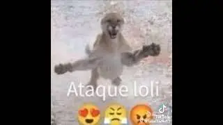 qe