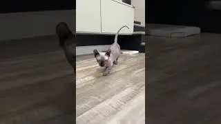 ПЕРВЫЙ ПАРЕНЬ НА СЕЛЕ