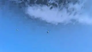 Видео 0002