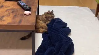 そこでコソコソと何をしてるのか気になって仕方ない