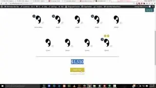 Beaver Rocket Woocommerce Demo for Silk Hair