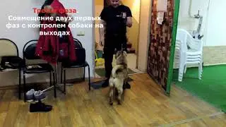 Поводок. Обратное натяжение.