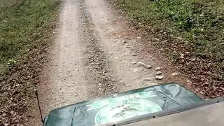 Lataguri Forest- Gorumara National Park