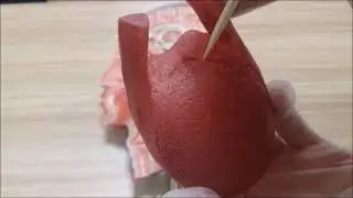 Dil anatomisi