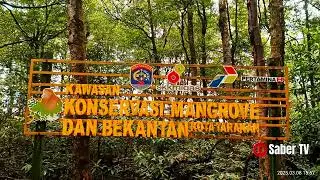 Tempat wisata yang baik untuk kesehatan, Kawasan Konservasi Mangrove dan Bekantan Tarakan Kal Tara