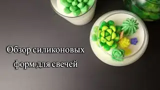 Формы суккулентов с алиэкспресс