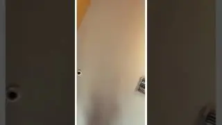 Random Video