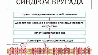 ЭКГ при синдроме Бругада - meduniver.com