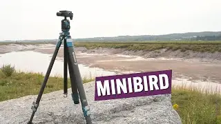 Benro Cyanbird Minibird