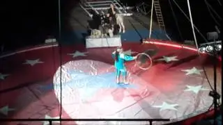 Shrine Circus 2014