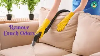 How to Remove Odors from a Couch? How to Take Smell Out of Couch? How to Remove Smell from Couch?