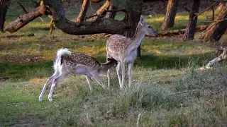 Breathtaking video from sunrise till sunset moments to remember...Enjoy!!!!