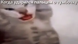Котёнок закрыл уши и орёт МЕМ