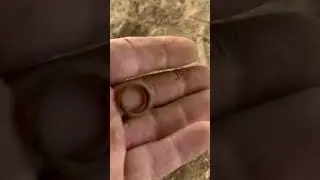 I found a Mood Ring with my Metal Detector #metaldetecting #detecting #treasurehunting #ring g