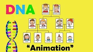 DNA (DEOXYRIBONUCLEIC ACID) | Biology Animation