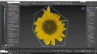 Pivot Painter 2.0 - Sunflower Tutorial