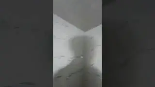 Abu va kafelar