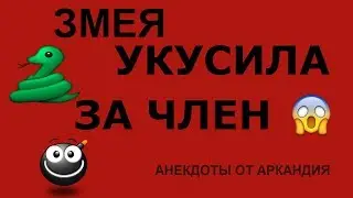 Анекдот про укус змеи в ЧЛЕН