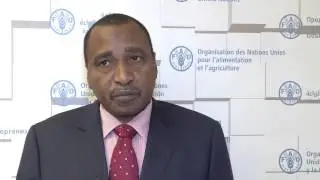 Federal Minister for Agriculture and Forestry, Republic of the Sudan
