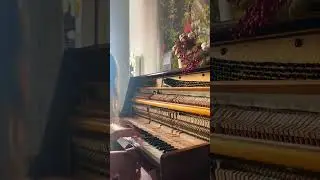Больше моей музыки можно услышать в тг канале VIKA SKRIPNIKOVA