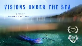 Visions under the sea