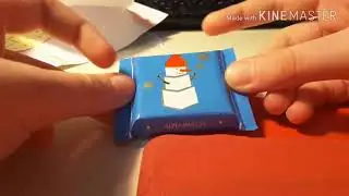Бумажные Сюрпризы ПУШИН CAT/ВЫДУМАНЫЙ САЙТ/Настюшка Фокус