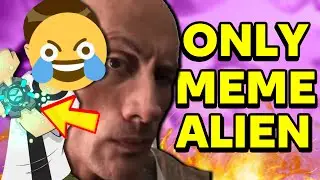 What is the Memetrix?