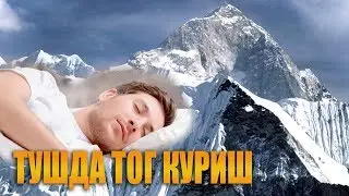 Туш табирлари - Тушда тог куриш