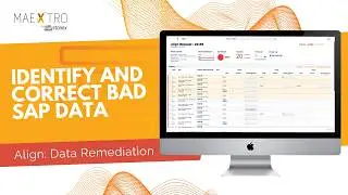 Maextro Align: Fast, Automated SAP Data Remediation | Solution Highlight