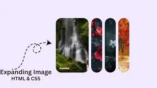 How To Create Expanding Image Gallery Using HTML And CSS ❤️ 