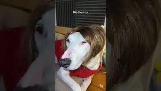 Joy is angry with Mother! 