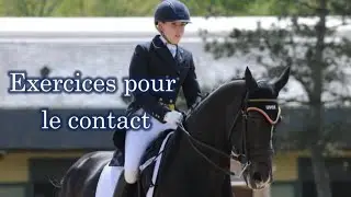 7 Exercices pour un meilleur contact a cheval ! 🦄