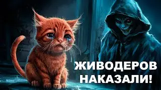 Hello Street Cat | ЖИВОДЕРЫ и НАКАЗАНИЕ!