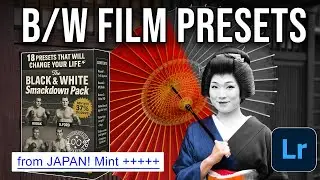 18 FREE Black & White Film Presets for Lightroom (Tri-X, HP5+, Acros, T-Max, Delta, Scala)