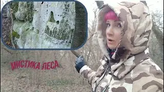 Мистика леса. Странные места в лесу. Mysticism of the forest. Strange places in the forest.