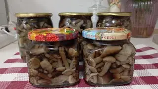 .Маринованные ОПЯТА. Зимой будет вкусно!