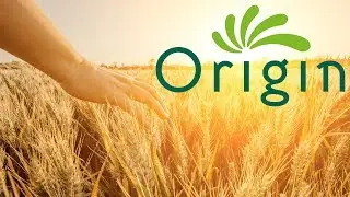 Origin Taps into their Full Potential thanks to TARGIT Momentum