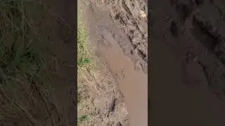 выйдет сам ?да ?нет?