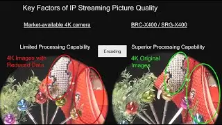 Sony | 4K PTZ Cameras with IP Streaming