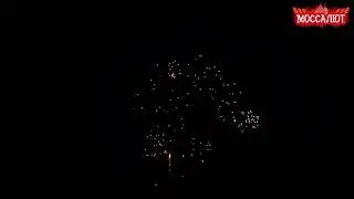 Батарея салютов 25 залпов