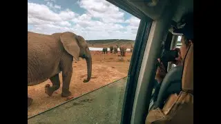 Garden Route travel South Africa