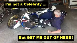 I'm not a celebrity - but GET ME OUT OF HERE!