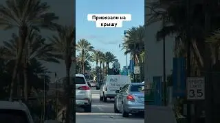 Привязали на крышу#майами #сша#америка #америкасегодня #новостисша #штаты #флорида