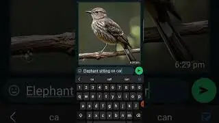 WhatsApp New Feature 2024 #viral #whatsapp