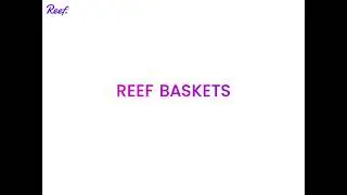 Introducing Reef Baskets | One Place to Manage and Optimize Your DeFi Investments