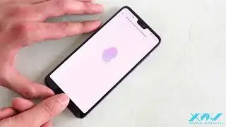 Сканер отпечатков в Huawei P20 Pro (XDRV.RU)